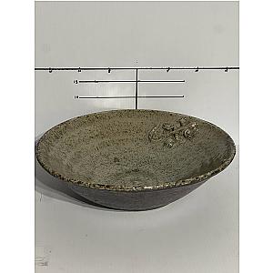 Ash and Skink Bowl