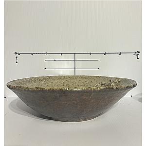 Ash and Skink Bowl